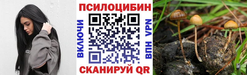 Купить закладки  Белозерск  Галлюциногенные грибы ЛСД 